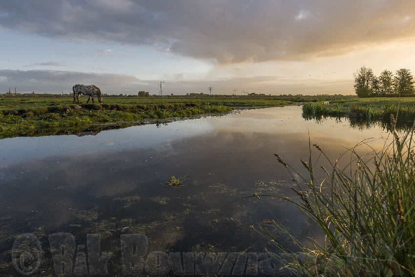 Polderplaatje in de buurt van Stolwijk Foto 07